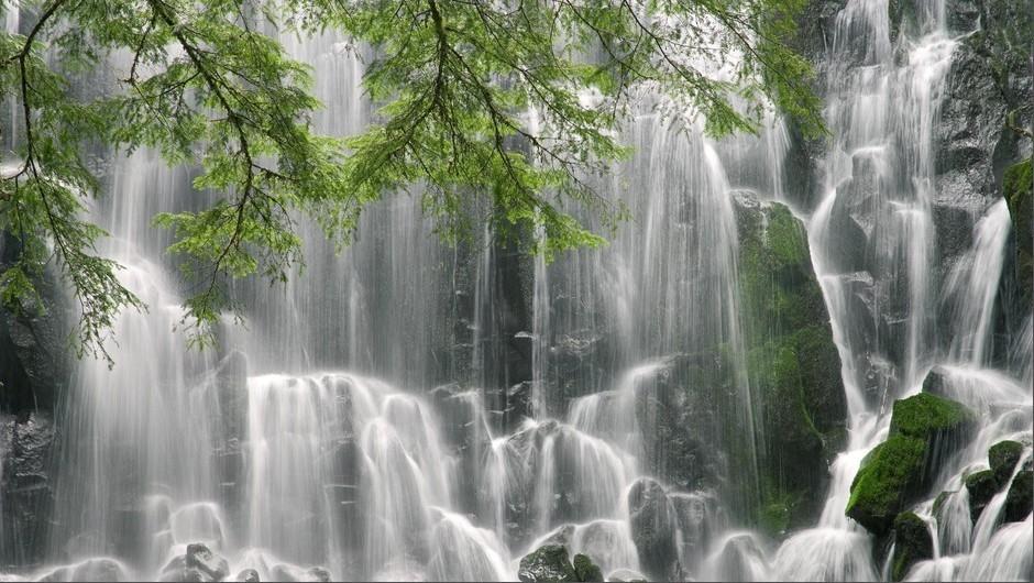 沪江开心词场