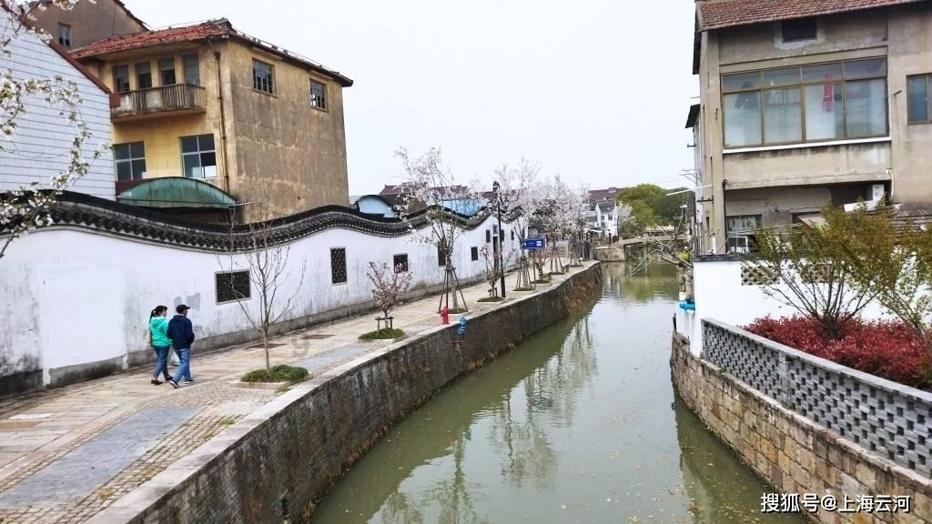 全民剧本大师内置菜单